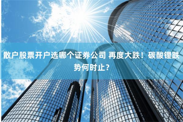 散户股票开户选哪个证券公司 再度大跌！碳酸锂跌势何时止？