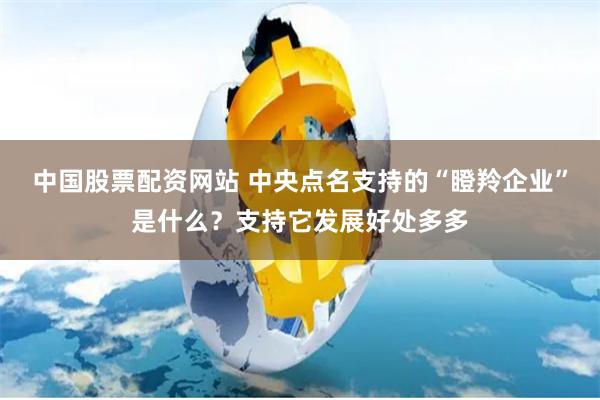 中国股票配资网站 中央点名支持的“瞪羚企业”是什么？支持它发展好处多多